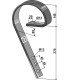 Brake tine